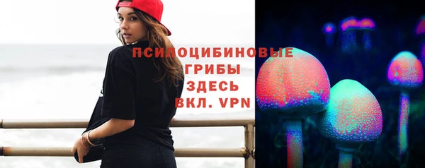 мдма Киреевск