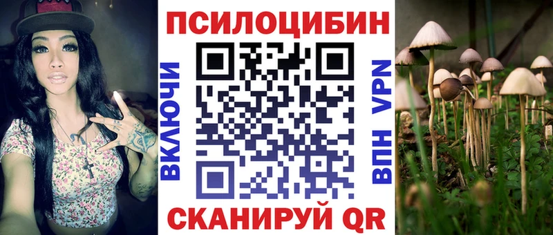 Галлюциногенные грибы Psilocybine cubensis  Купить где  Зеленокумск 